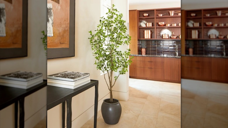 Faux ficus tree in bedroom
