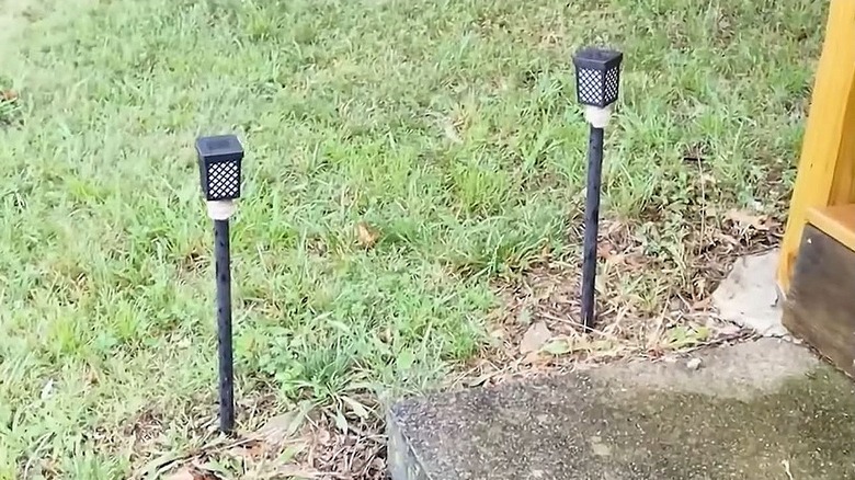 Two solar lights are attached to painted plunger handles in the yard.