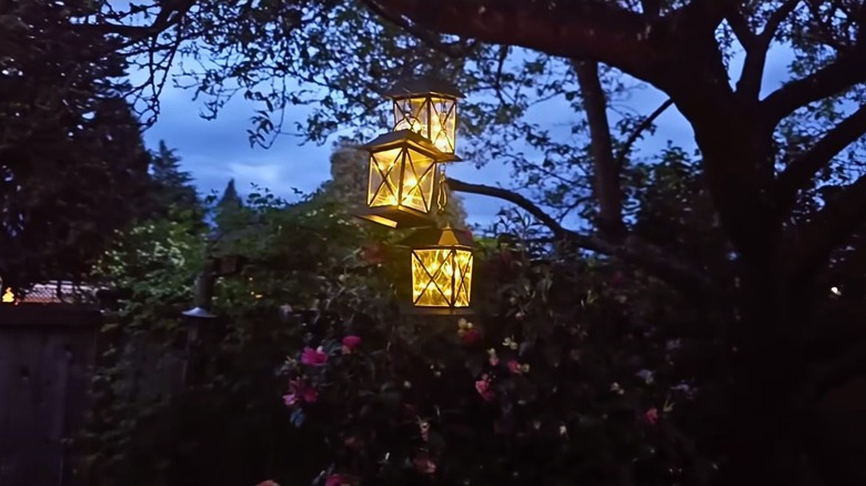 Three solar lanterns hanging from a tree.