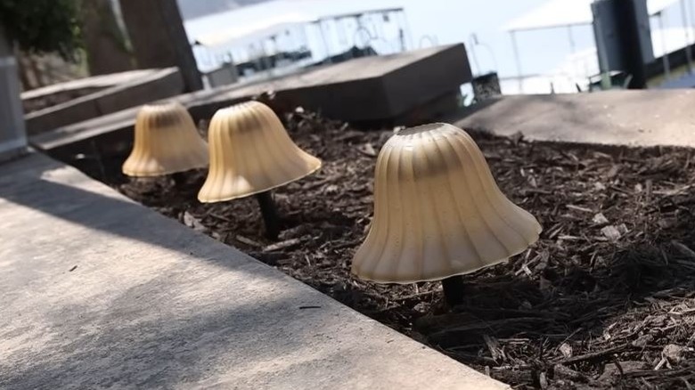 Three mushroom solar lights made from upcycled light globes and Dollar Tree solar lights along a path.
