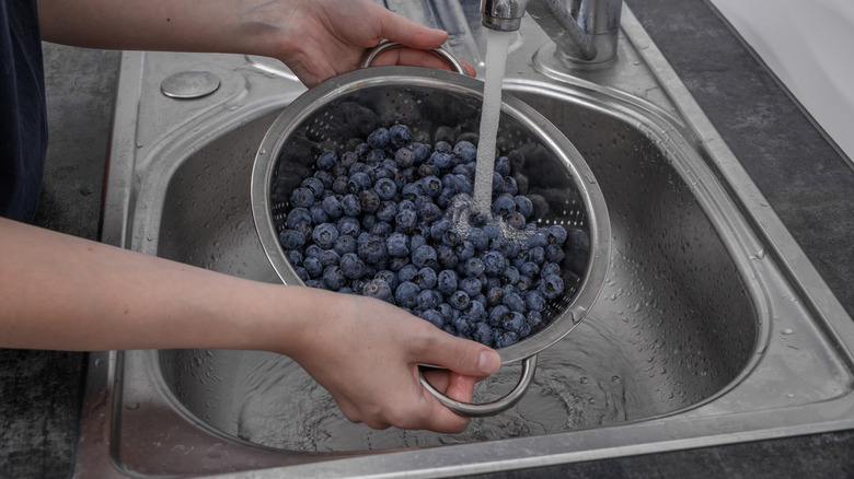 Hands washing blueberries in a metal colander in a satinless steel sink