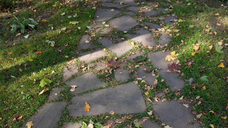 Fallen leaves strewn over uneven paving in a lawn