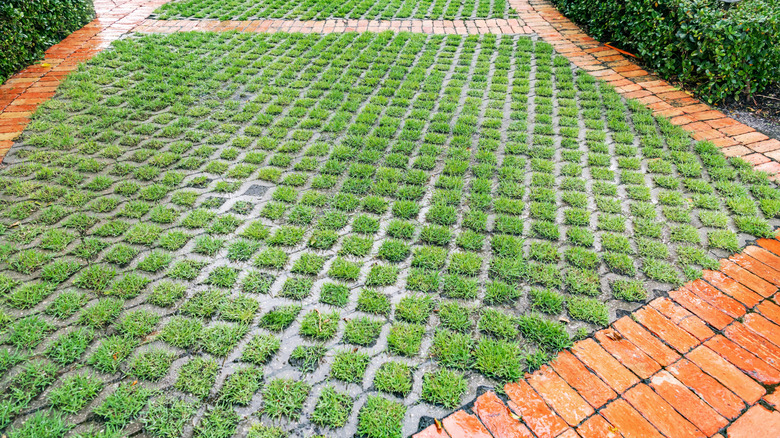 Permeable pavers with small grass patches between the grids