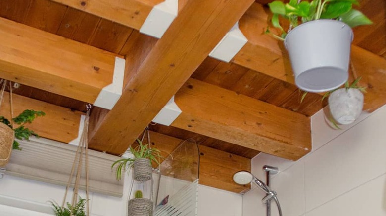 Multiple hanging plants around wood beams.