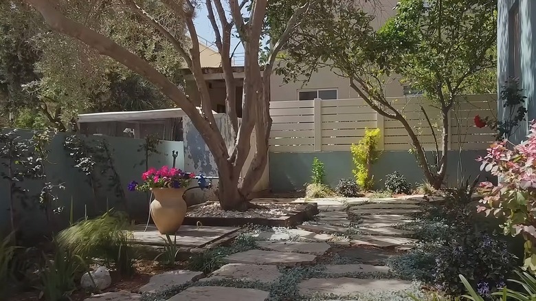 Lush backyard with large walking stones