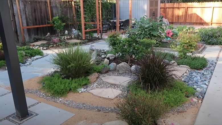 Renovated backyard with paths and plants