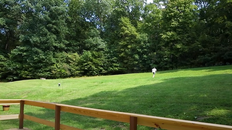 Open green backyard surrounded by tall trees
