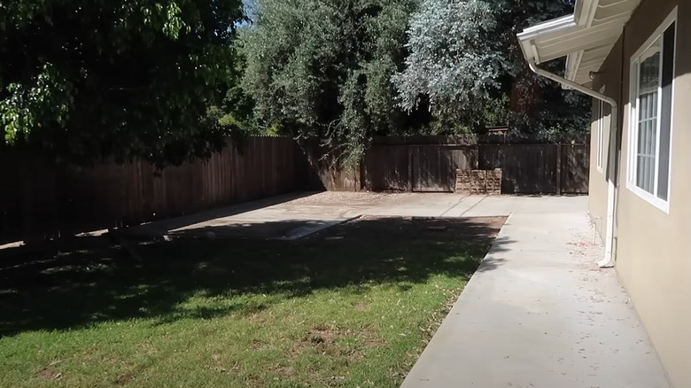 Empty backyard with grass and concrete