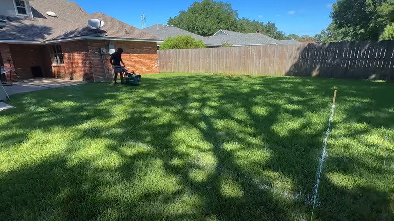 Man uses lawn tool in a spacious backyard