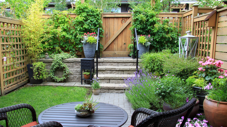 A small yard with a patio is filled with beautiful tall plants.