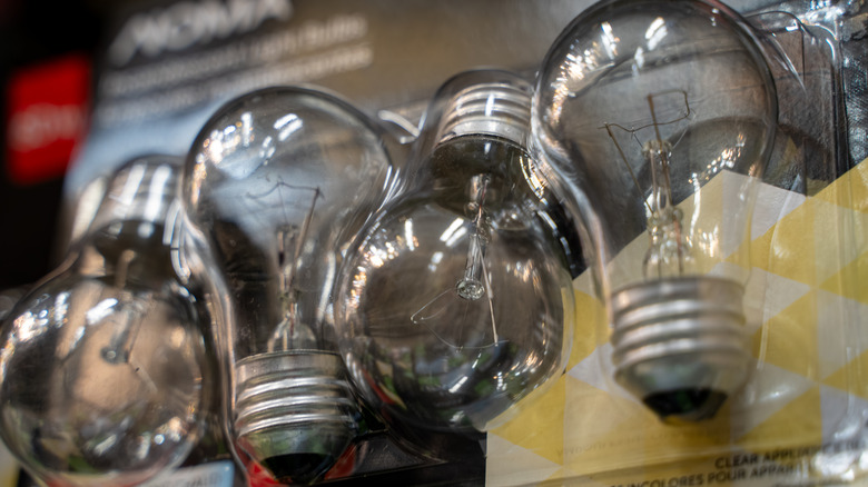 Close up of lightbulbs in packaging