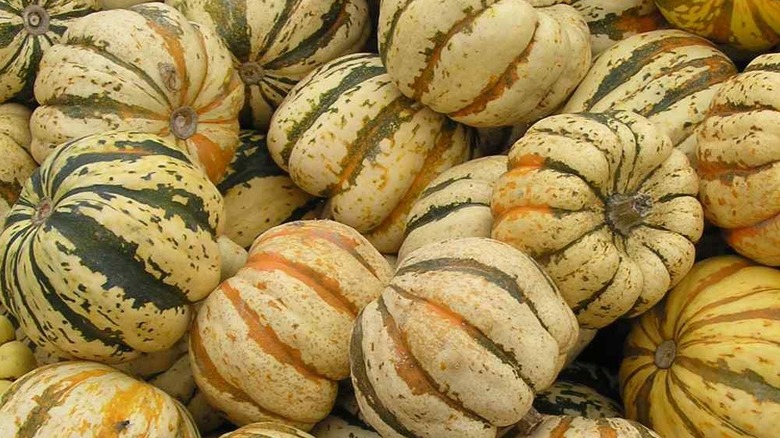 Small, striped 'Carnival' pumpkins in a pile
