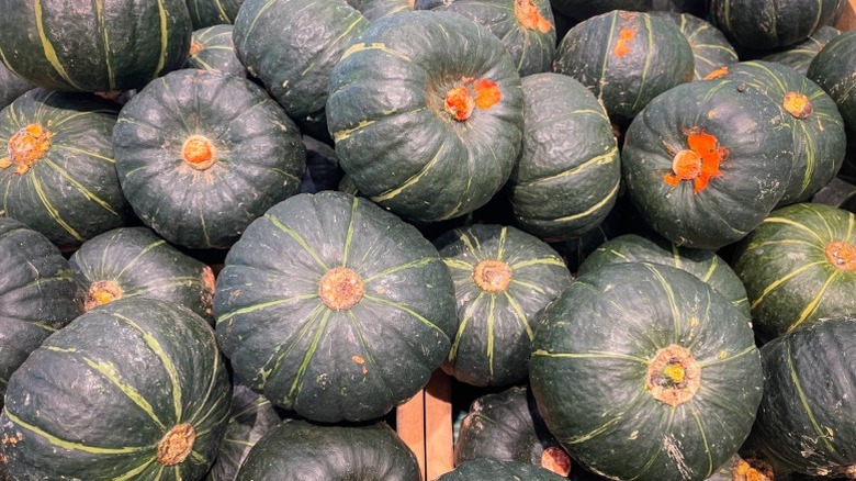 Small green 'Kabocha' pumpkins with light green stripes