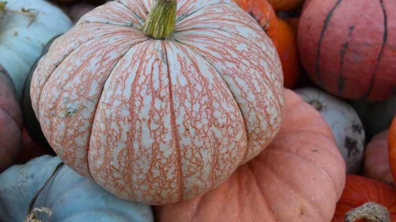 A 'One Too Many' pumpkin with white lacy look