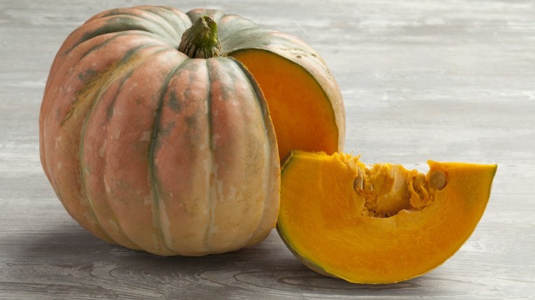 An blue and pink 'Speckled Hound' pumpkin