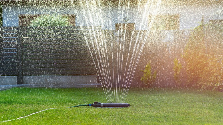 Backyard sprinkler on, watering lawn behind a fence