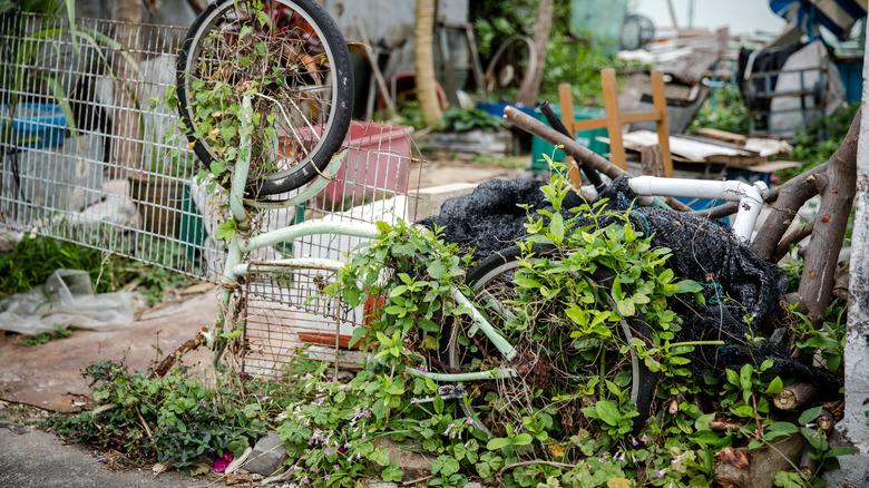 Very cluttered lawn with debris, bicycle parts, and more