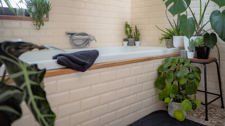 neutral bathroom design