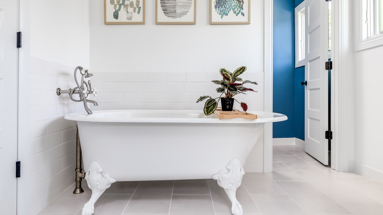 white subway tile