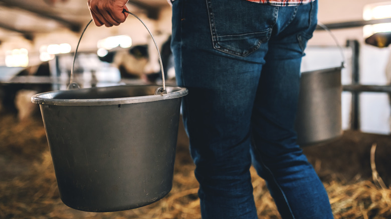 Person holding a bucket