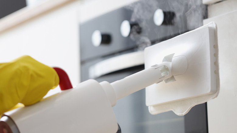 Person steam cleaning appliance handle