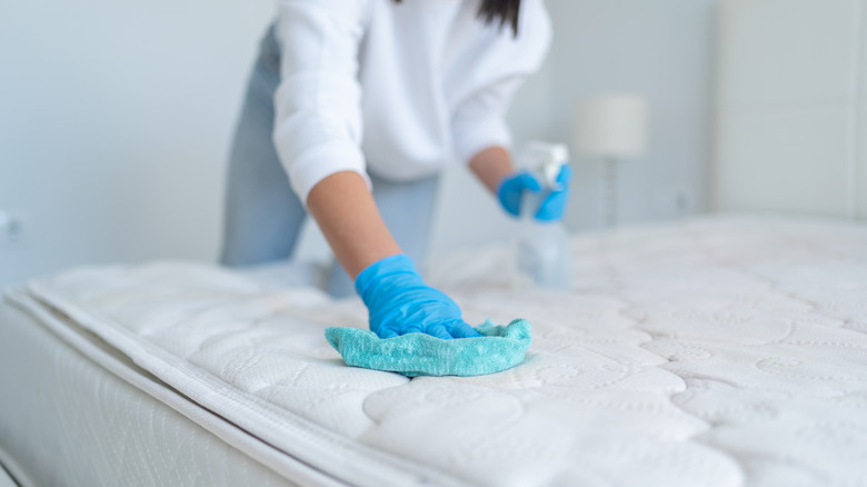 Person cleaning mattress with spray solution