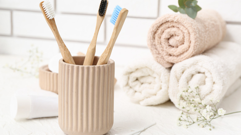 Bamboo toothbrushes in holder on bathroom counter