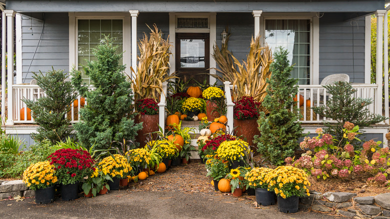 Porch covered in fall décor