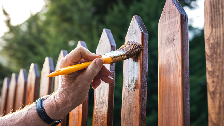 Staining a garden fence