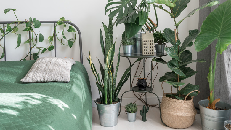 metal headboard with vines