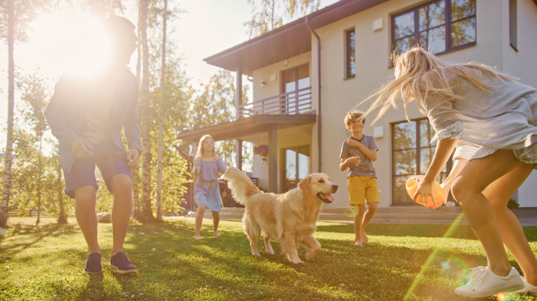 family playing with dog