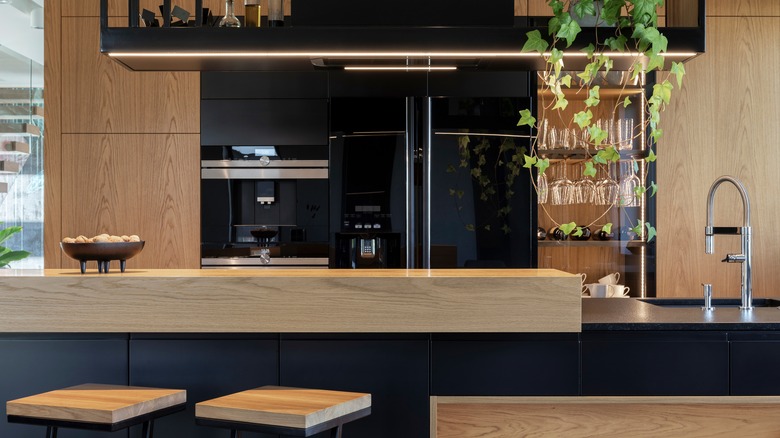 Modern, warm kitchen with plant