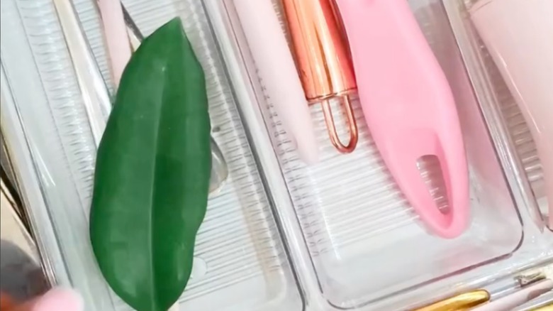 A bay leaf sitting in cooking utensil drawer.