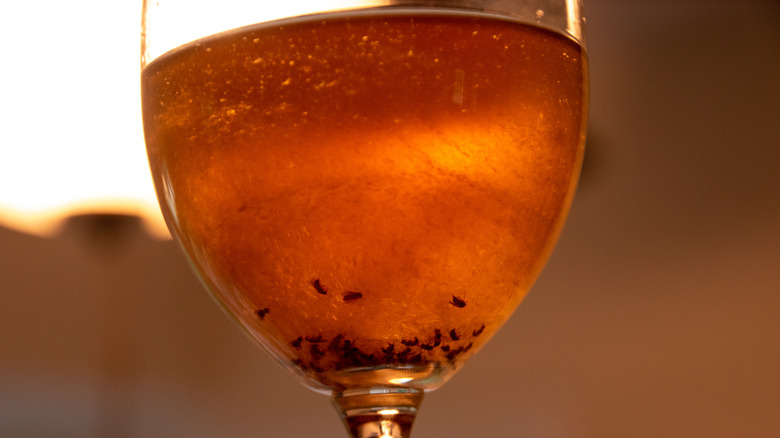 A glass with apple cider vinegar and dead fruit flies.