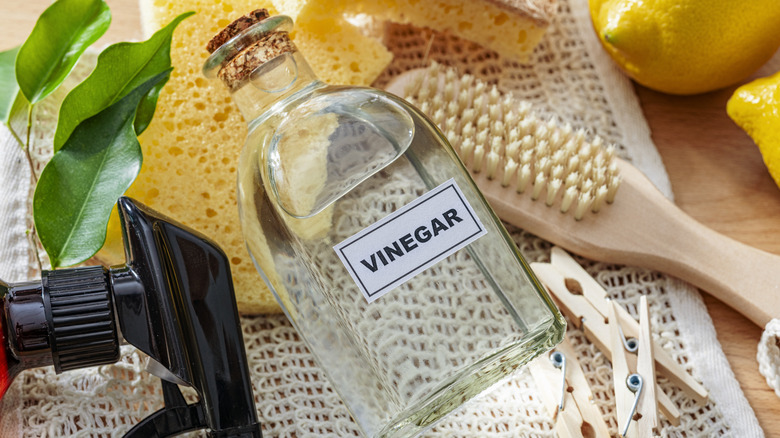 Someone pouring vinegar on a sponge.