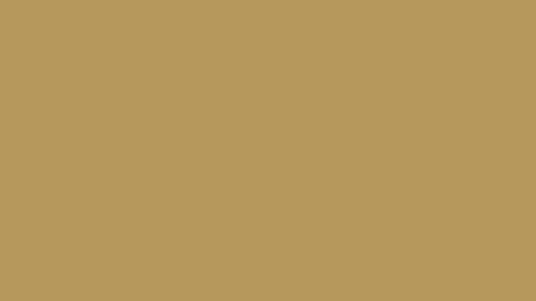 Soft gold color swatch