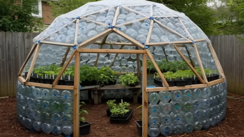 a plastic bottle greenhouse with wood frame