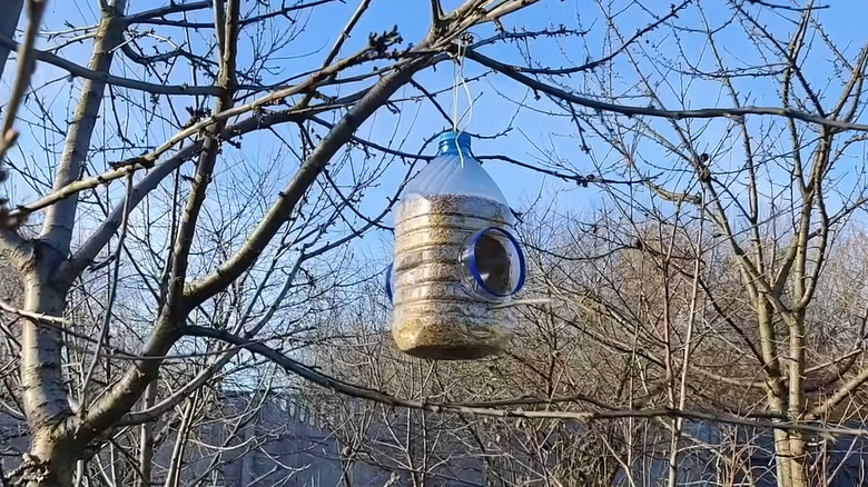a bird feeder made from a recycled plastic jug