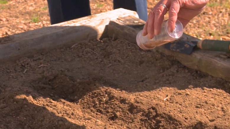 a person uses an old spice container to spread seeds in the garden