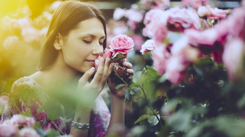 greenhouse woman smelling rose