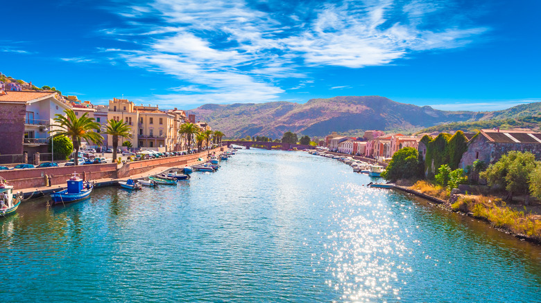 houses on a river