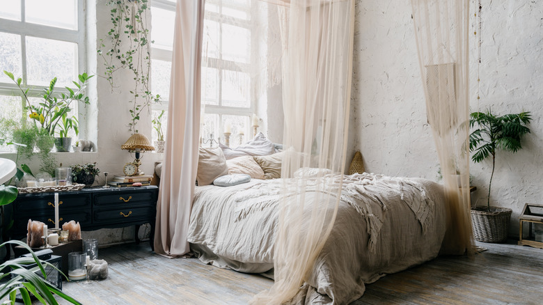 room with plants