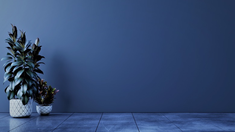 blue room