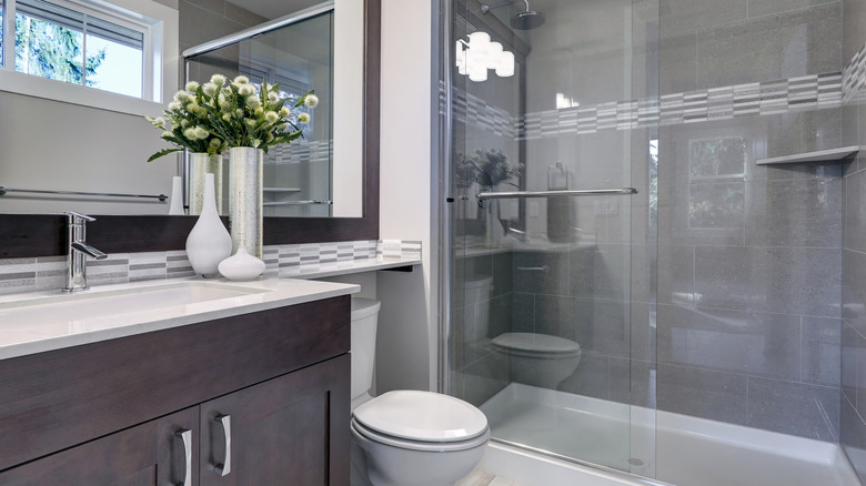 Small bathroom with walk-in shower