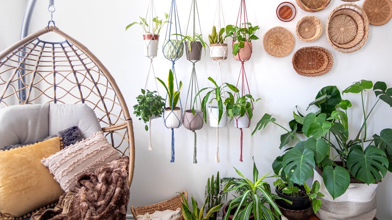 Plant-filled living room