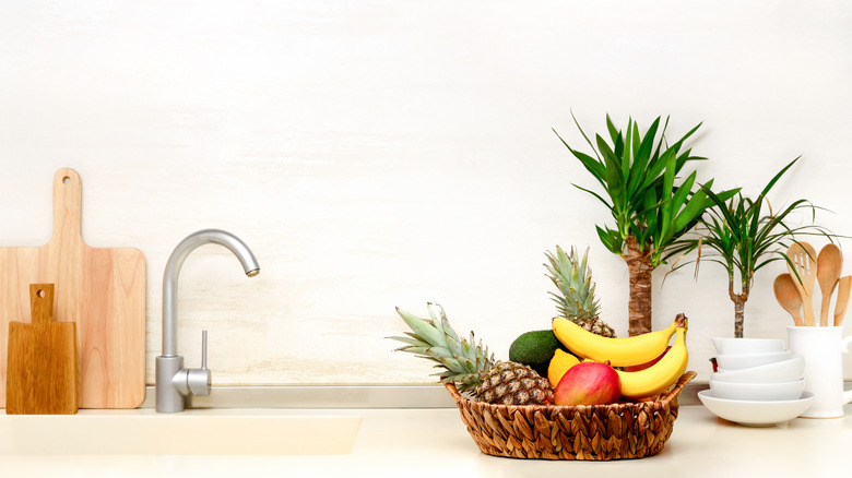 fruit and plants in kitchen