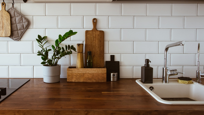 green plant on kitchen counter
