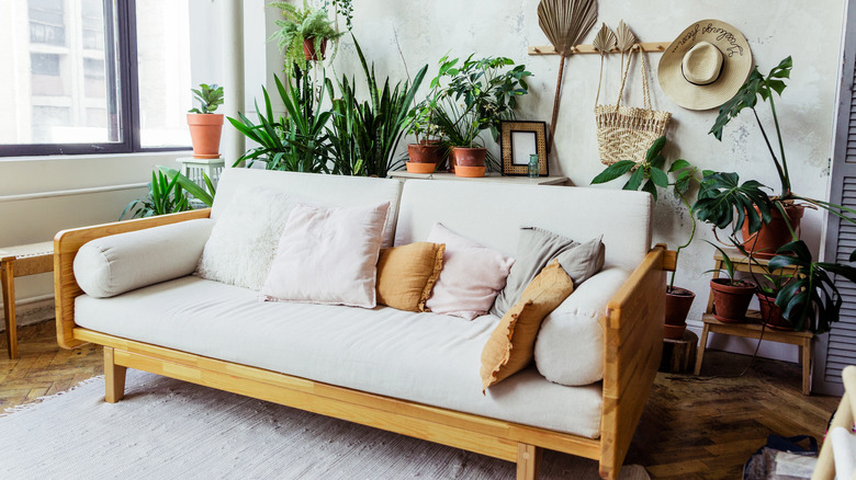 White couch with houseplants