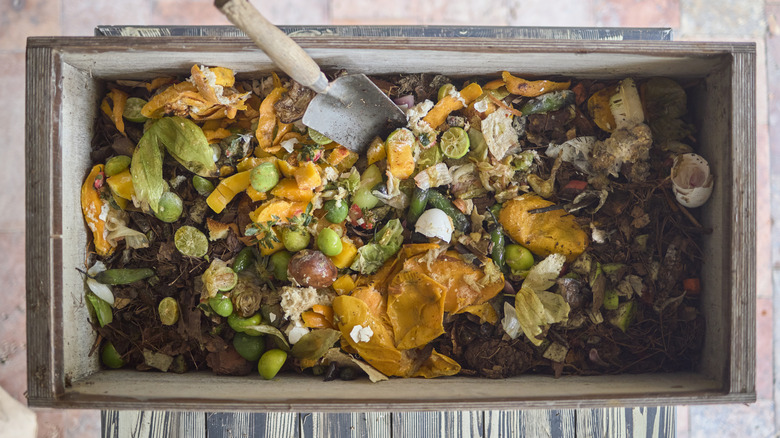 A homemade compost pile with food scraps