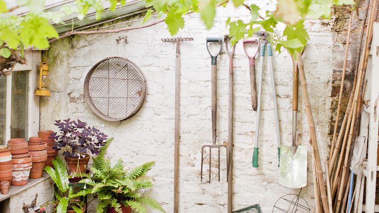 A garden shed wall with a shovel, rake, and other tools hung up.